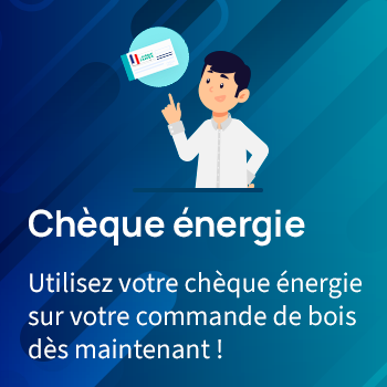 Le dispositif chèque énergie